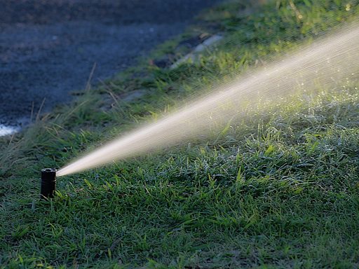 Een tuin met druppelslang langs beplanting tijdens een zomerse dag