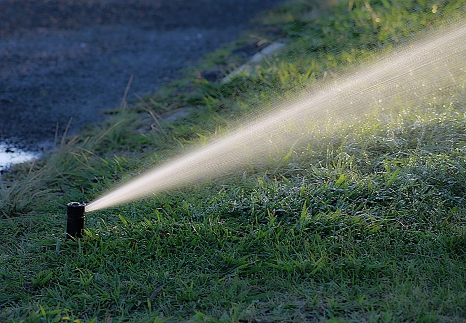 Een tuin met druppelslang langs beplanting tijdens een zomerse dag