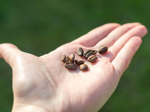 Persoon die 's ochtends zwarte koffie drinkt tijdens een vastenperiode